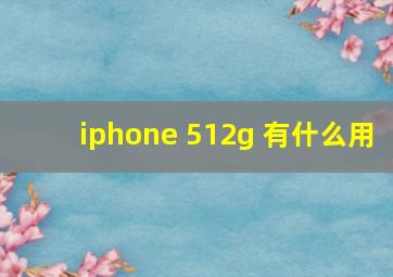 iphone 512g 有什么用